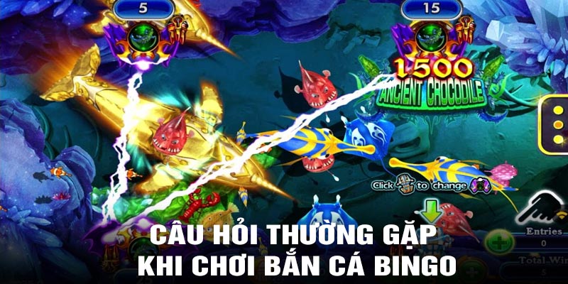 Câu hỏi thường gặp khi chơi bắn cá bingo